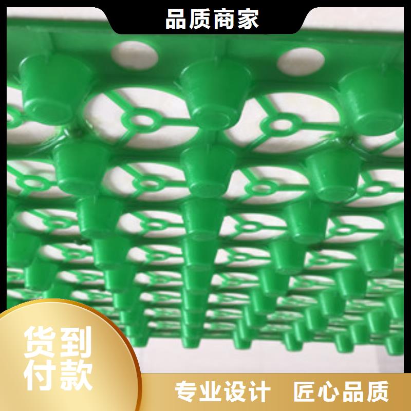 【蓄排水板】虹吸排水板厂家安心购(富泰)
