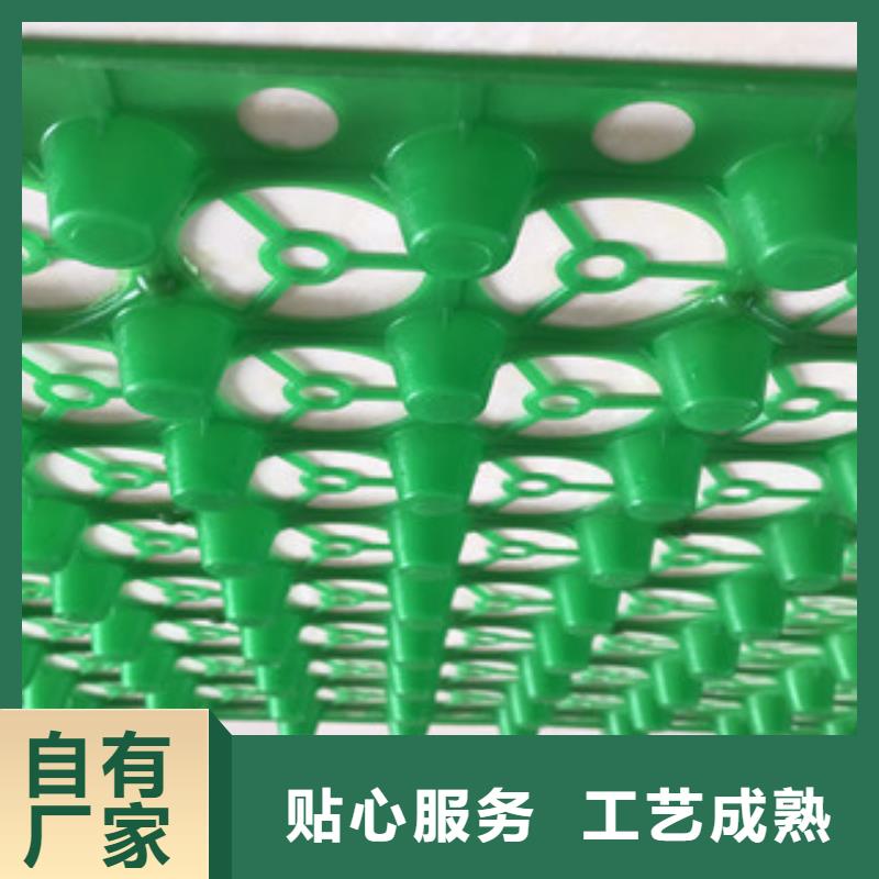 蓄排水板【土工膜厂家】专心专注专业