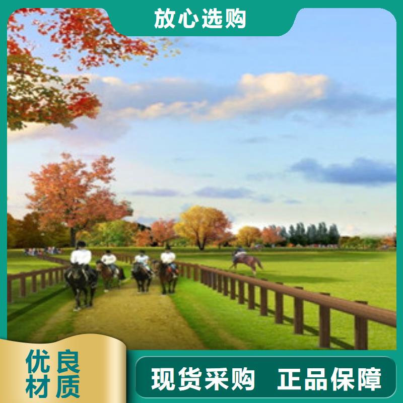 钢背木护栏桥梁防撞护栏N年生产经验