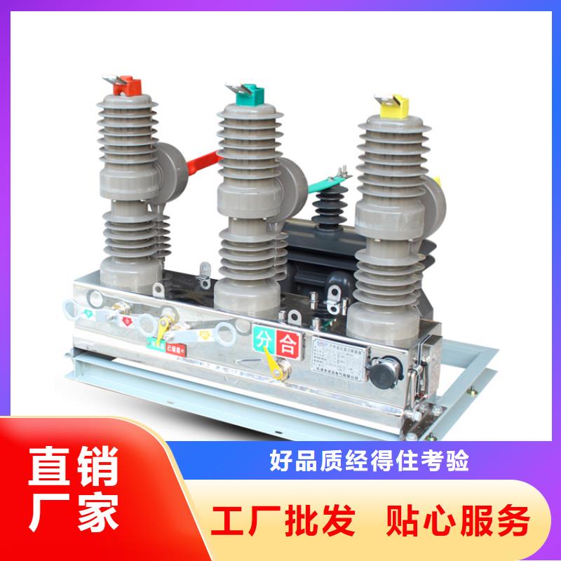 萍乡ZW8A-12G/T1250-31.5真空断路器源头厂家
