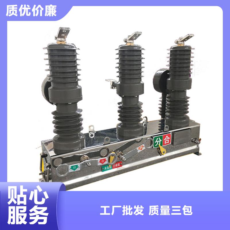 萍乡ZW8A-12G/T1250-31.5真空断路器源头厂家