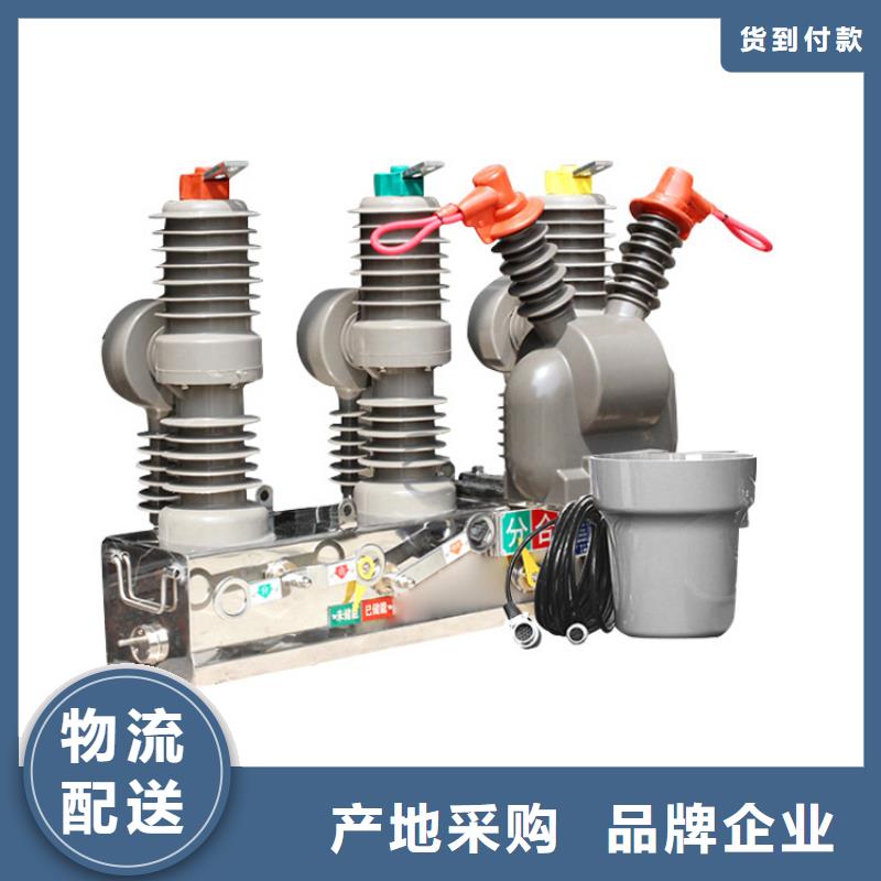 滨州ZW8-12F/T630-12.5真空断路器全新配件