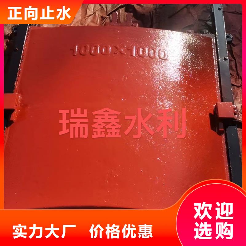 安徽水库水利闸门实力大厂
