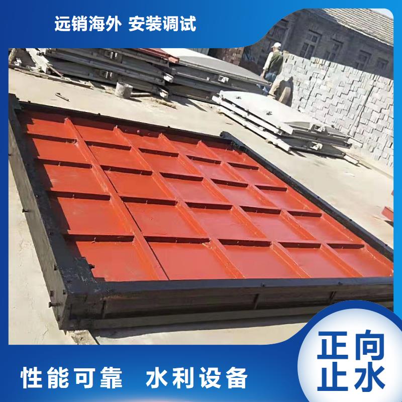 济宁城市建设河道铸铁闸门品质保证