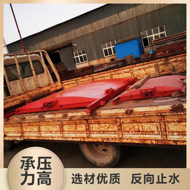 邢台水电站机闸一体闸门售后无忧