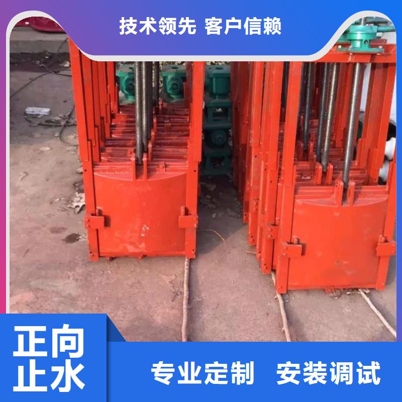 克拉玛依铸铁闸门_铸铁镶铜闸门结构合理