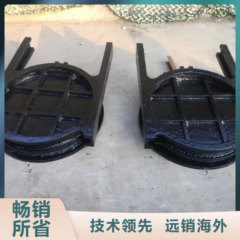 邢台水电站机闸一体闸门售后无忧
