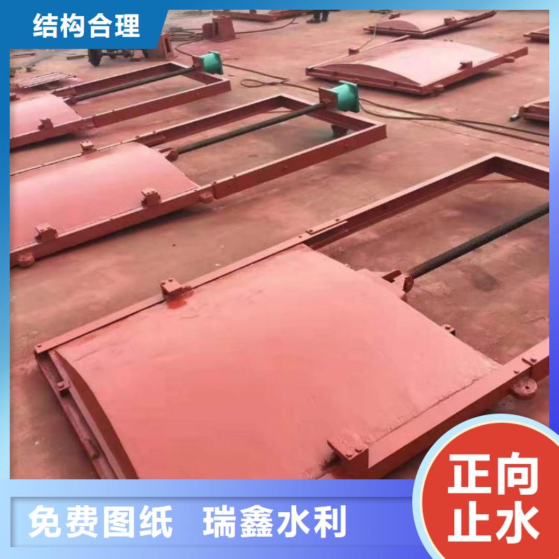 济宁城市建设河道铸铁闸门品质保证