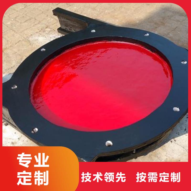 邢台水电站机闸一体闸门售后无忧