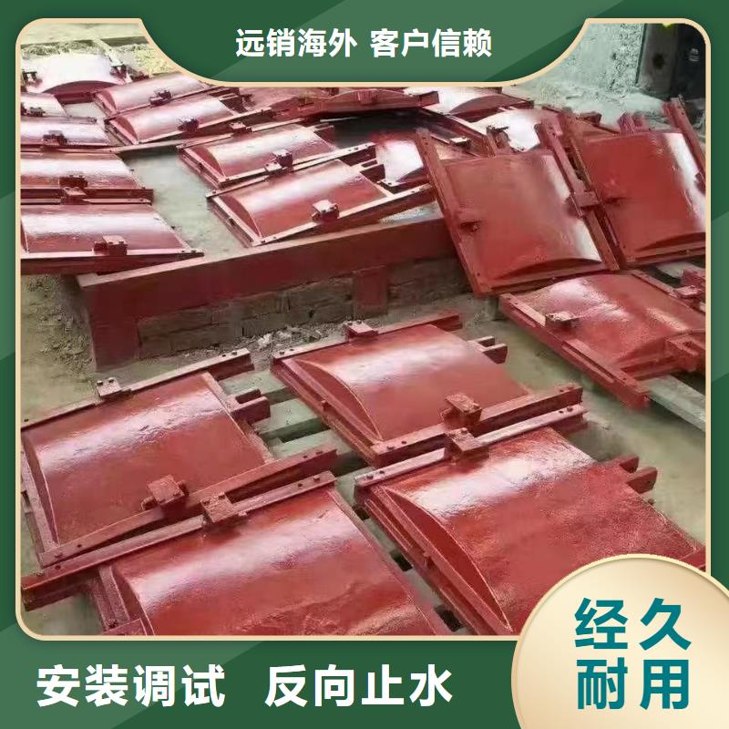 克拉玛依铸铁闸门_铸铁镶铜闸门结构合理
