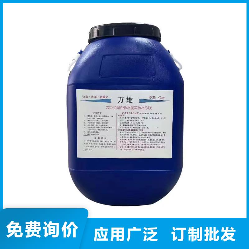 弹性重防腐特种涂料用心做品质订制批发弹性高分子聚合物防水防腐涂料