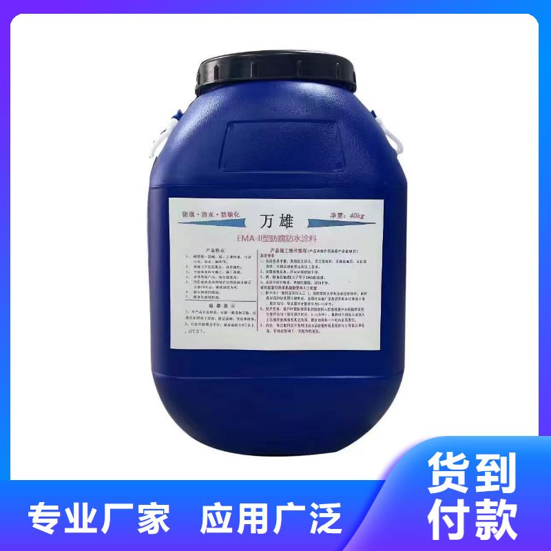 乙烯基酯柔性防腐防水涂料多种规格库存充足直销防碳化防腐防水涂料