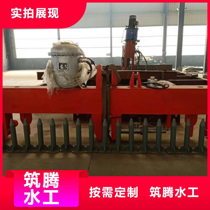 耙斗式清污机专业生产制造厂