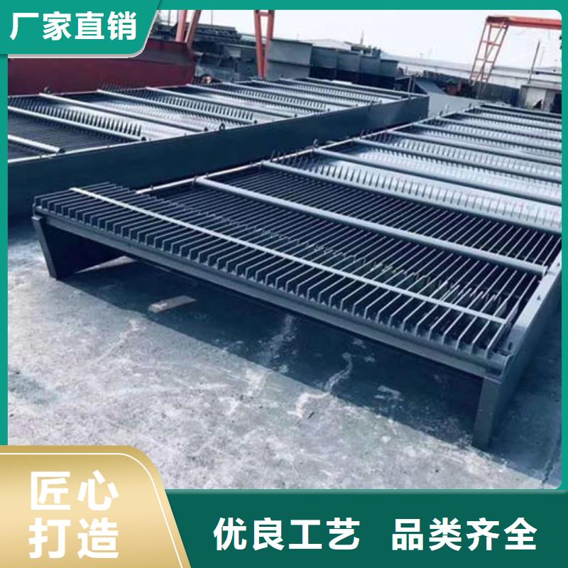耙斗式清污机专业生产制造厂