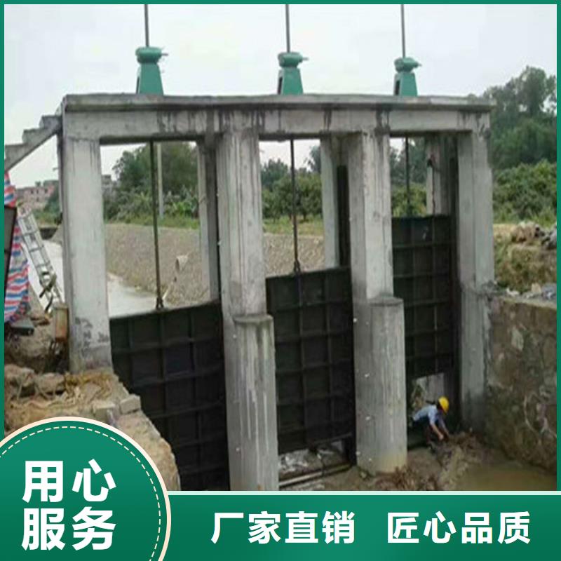 机门一体闸门源头厂家