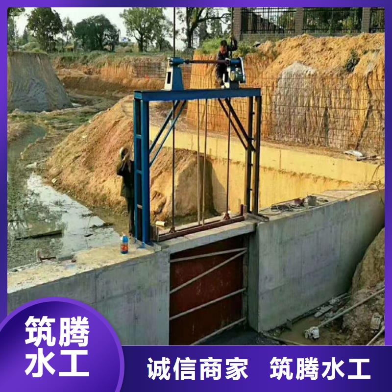 机门一体闸门源头厂家