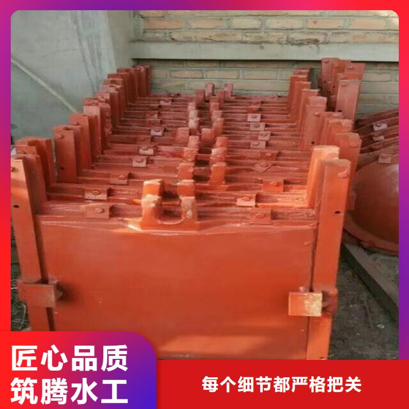 镶铜铸铁闸门型号齐全