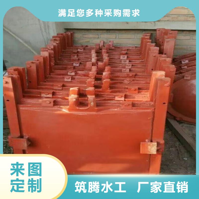 机门一体闸门源头厂家