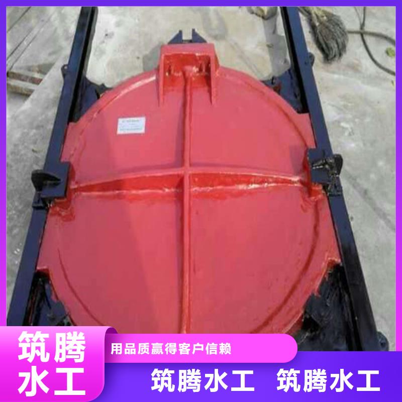 机门一体闸门源头厂家