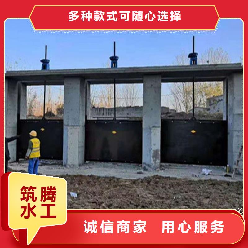 机门一体闸门源头厂家
