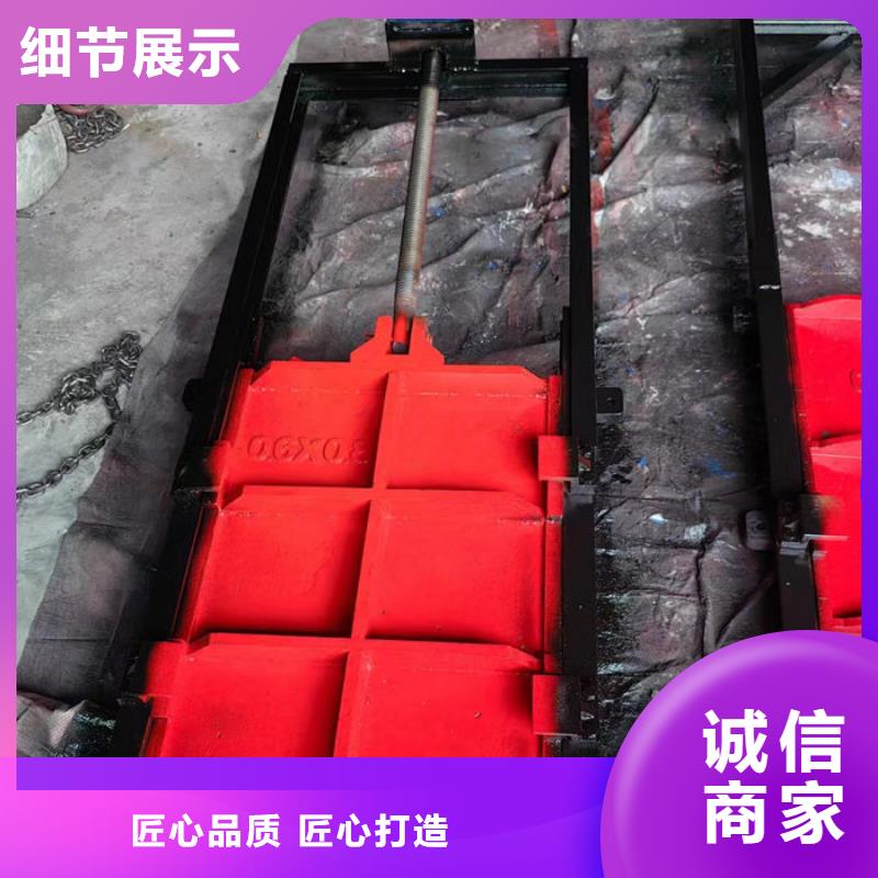 双向镶铜铸铁闸门用心经营
