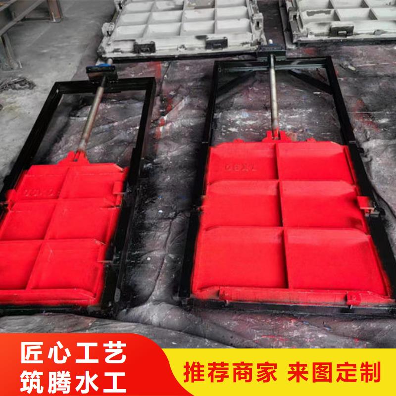 双向镶铜铸铁闸门用心经营
