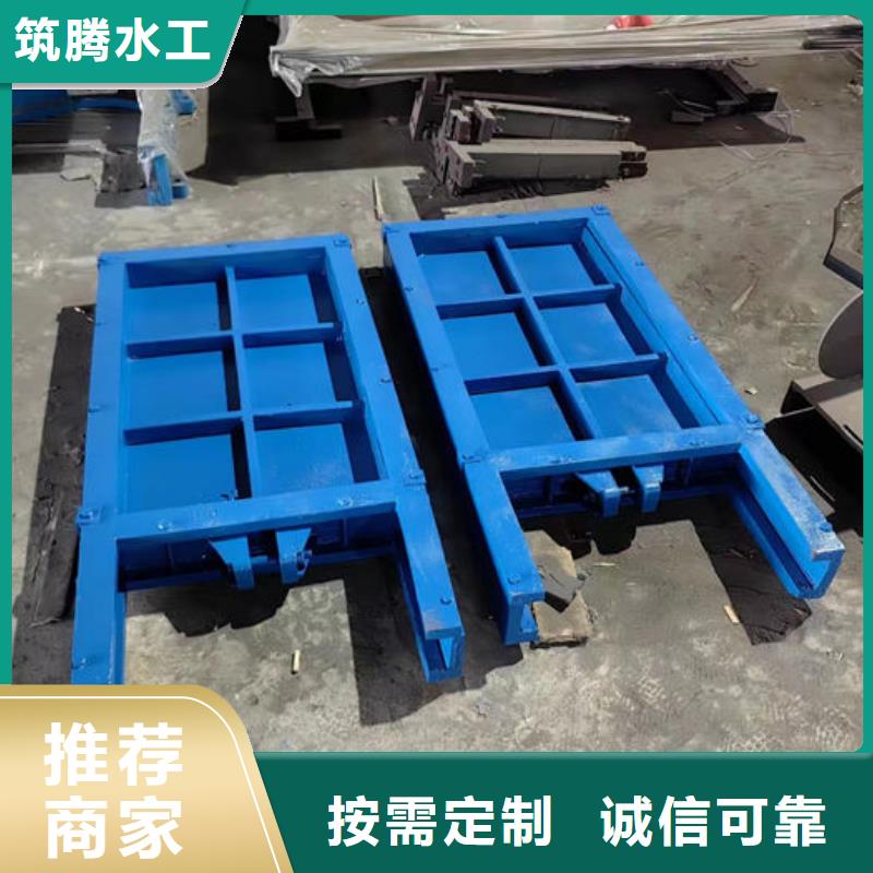 雨污分流闸门厂家直销