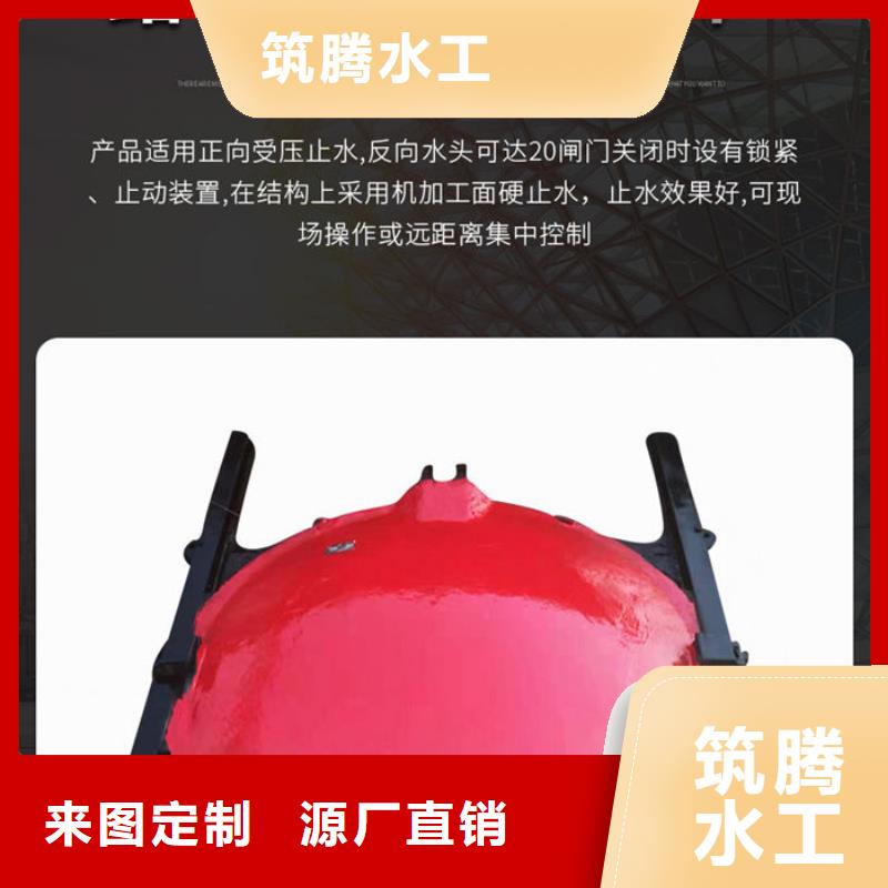 双向镶铜铸铁闸门用心经营
