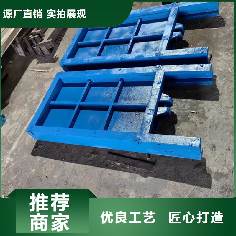 机门一体闸门源头厂家